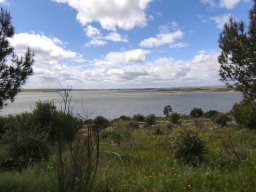 Flora del Cerro Masatrigo